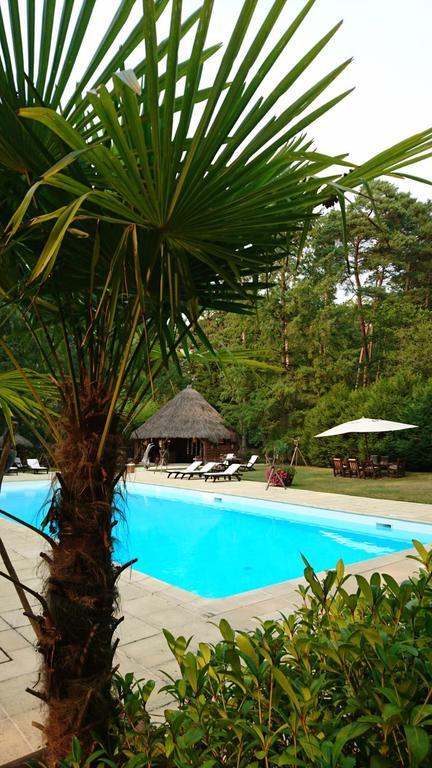 Chambres D'Hotes Le Mousseau โชมง ภายนอก รูปภาพ