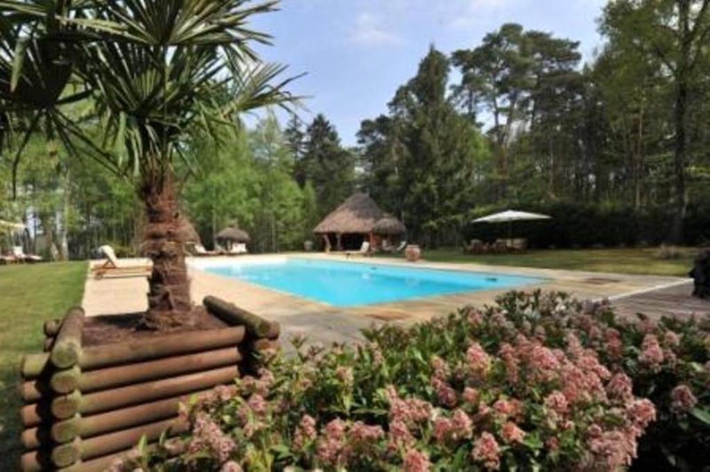 Chambres D'Hotes Le Mousseau โชมง ภายนอก รูปภาพ